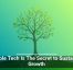 Scalable Tech Is The Secret to Sustainable Growth